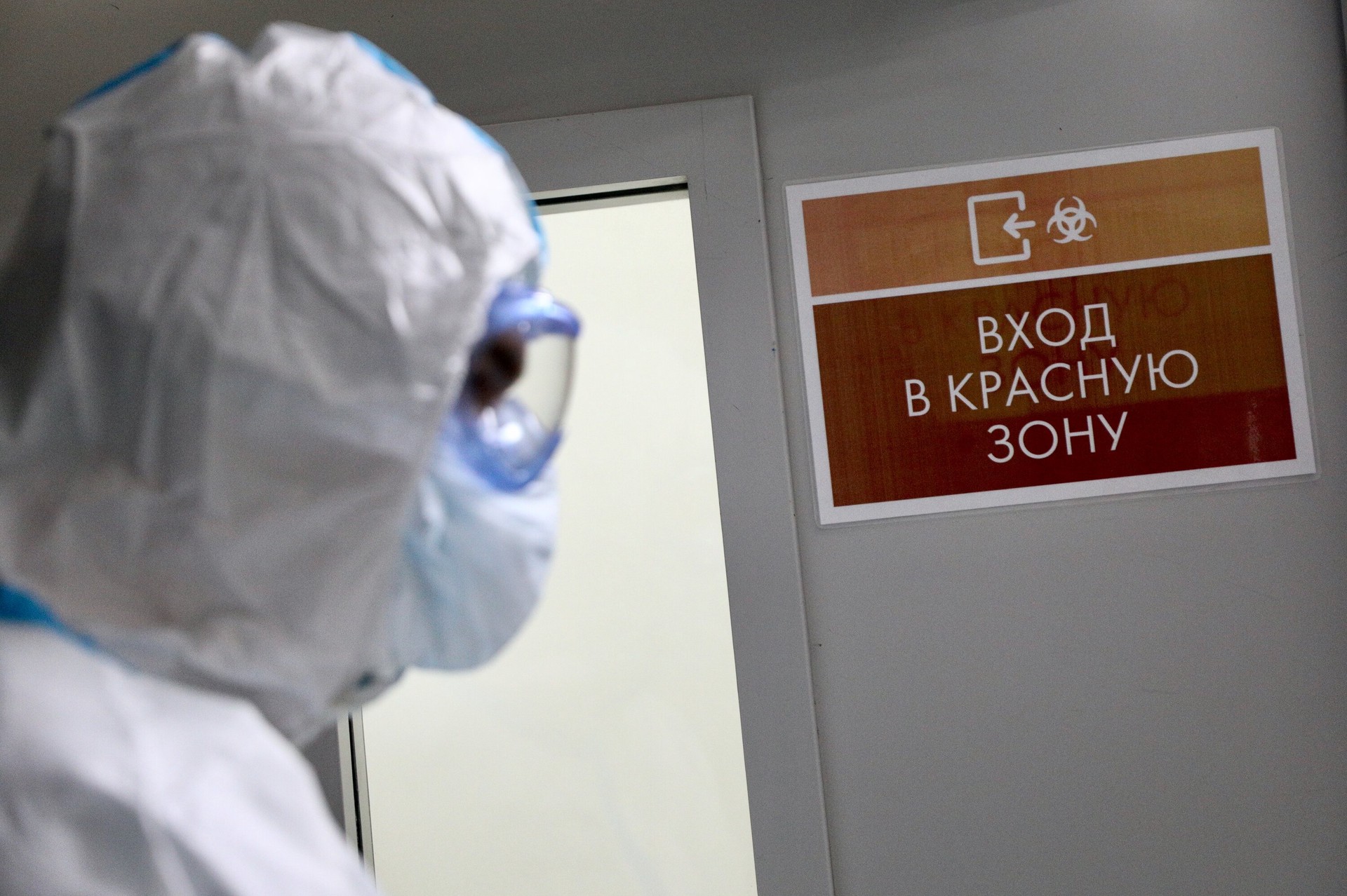 Об опасности хантавируса для россиян рассказали в Роспотребнадзоре