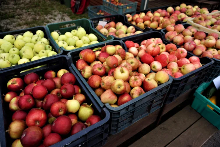 На парковке таллинского торгового центра Arsenal пройдёт фестиваль яблок и Медовая ярмарка