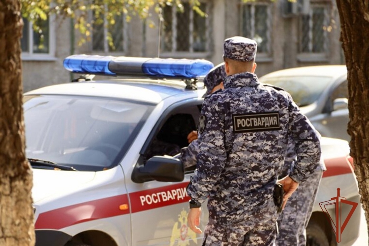 Росгвардейцы задержали виновника, который избил бывшую супругу на улице