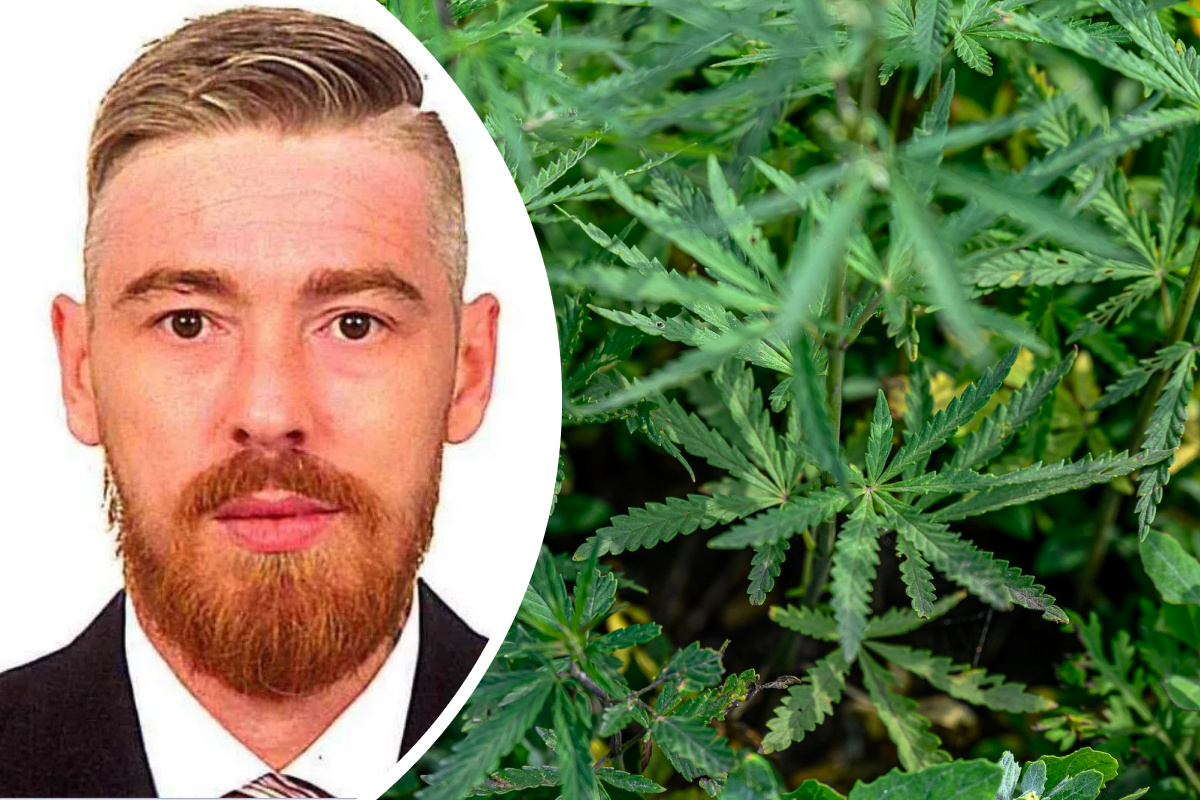 Выращивал марихуану в гараже? Депутата по фамилии Шаболда арестовали в ...