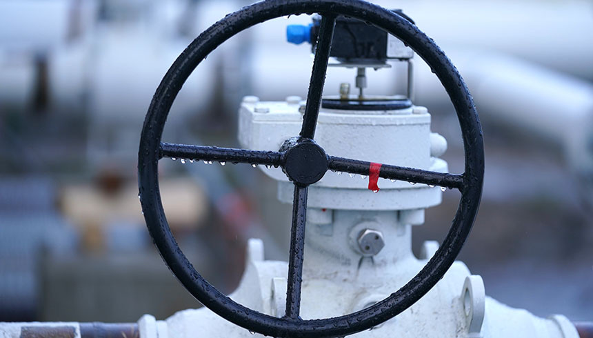 Фото: Global Look Press