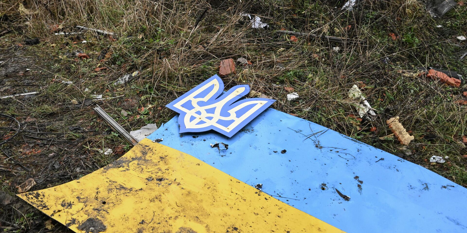 Флаг и герб Украины - ИноСМИ, 1920, 17.01.2026