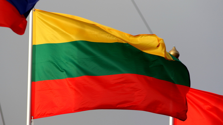 Межевич объяснил план Запада против русских и белорусов: От Литвы не останется ничего