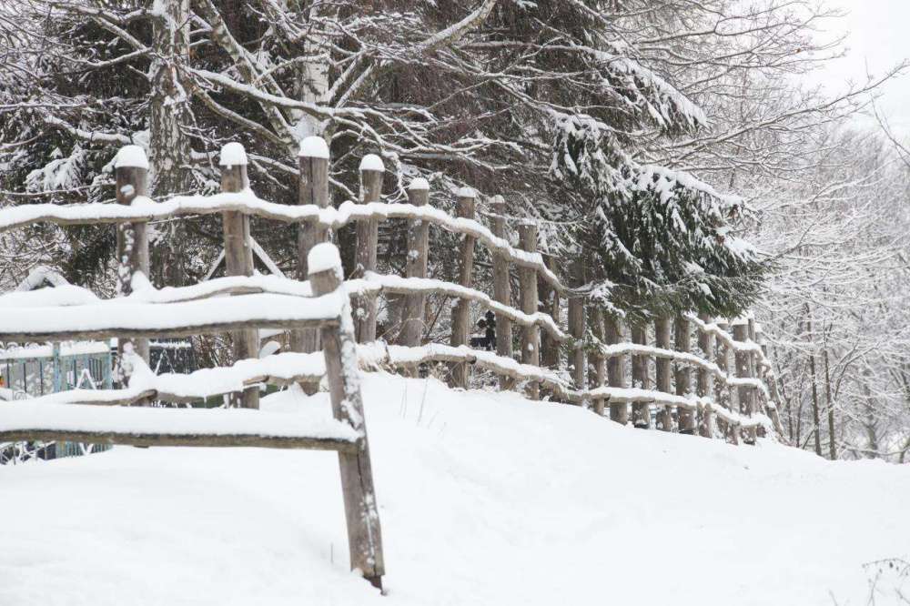 читать зимние истории. картины художник rajka kupesic. георг юхансон «мулле мек строит дом». телеэкскурсия по выставке зимняя история« в вохм им. Winter history.
