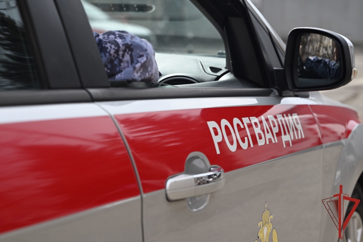 На минувшей неделе сотрудники вневедомственной охраны Росгвардии более 200 раз выезжали по сигналам «Тревога» 