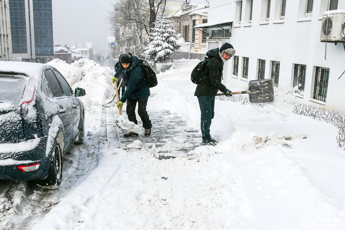 Сильный ветер хабаровск. Лопата для снега в машину. Откапывать автомобиль от снега саперной лопатой. Одиночество мужчины. Лопата для снега в машину.