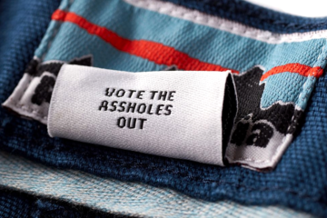 Vote the Assholes Out - секретная бирка на шортах Patagonia