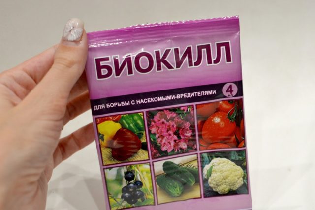 Инсектицид Вертимек: инструкция по применению на огурцах, томатах ...