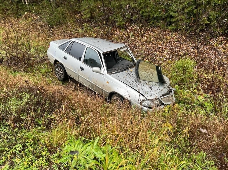 Житель Шарьи несколько раз за ночь попал в криминальную сводку МВД