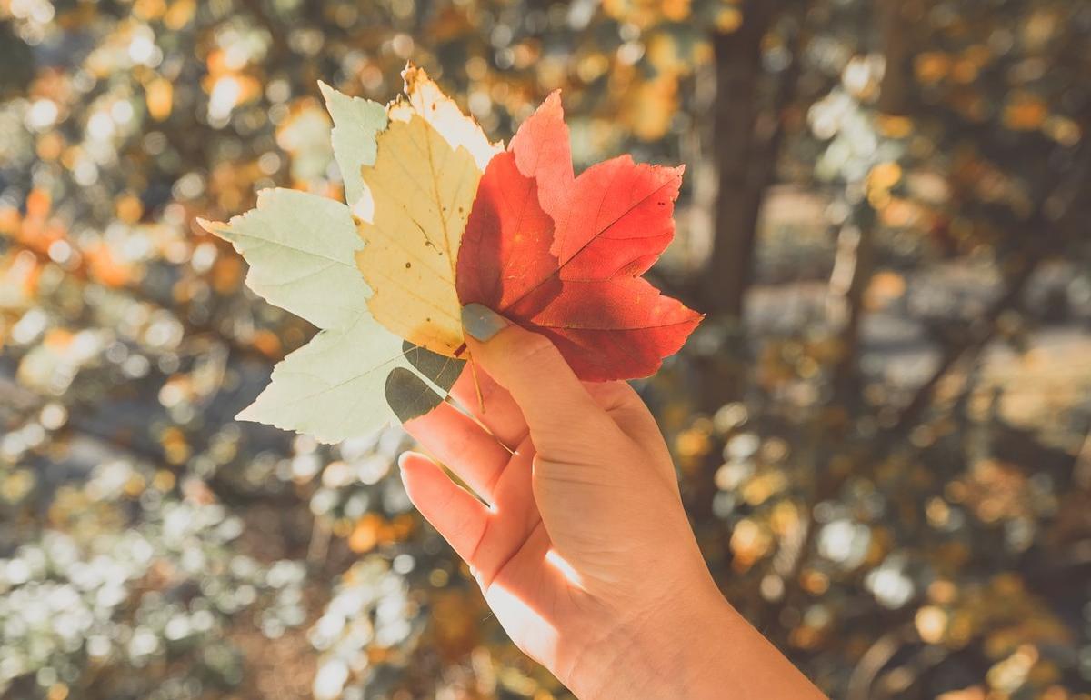 Раскрыть осенний. Осень эстетика. Осень книги фон. Осень листья под ногами. Сентябрь природа.