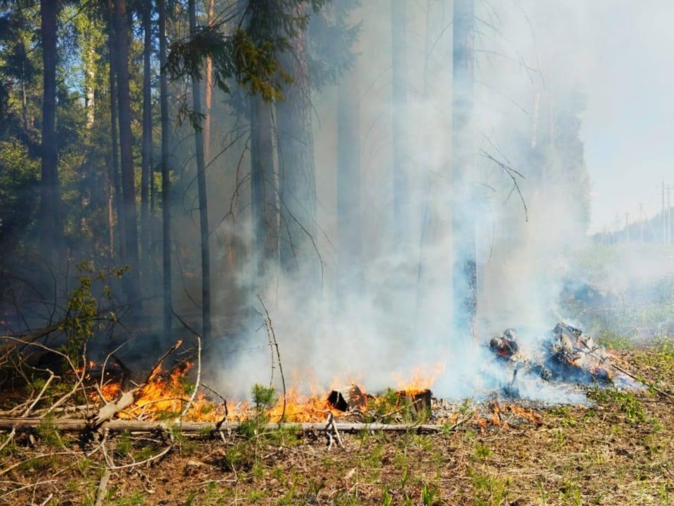 Поселок Пригородный спасли от лесного пожара