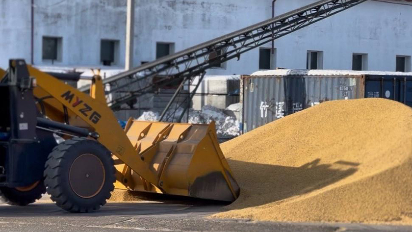 Россельхознадзор проконтролировал почти 300 тысяч тонн зерна и продуктов его переработки на экспорт из Приамурья - gtrkamur.ru