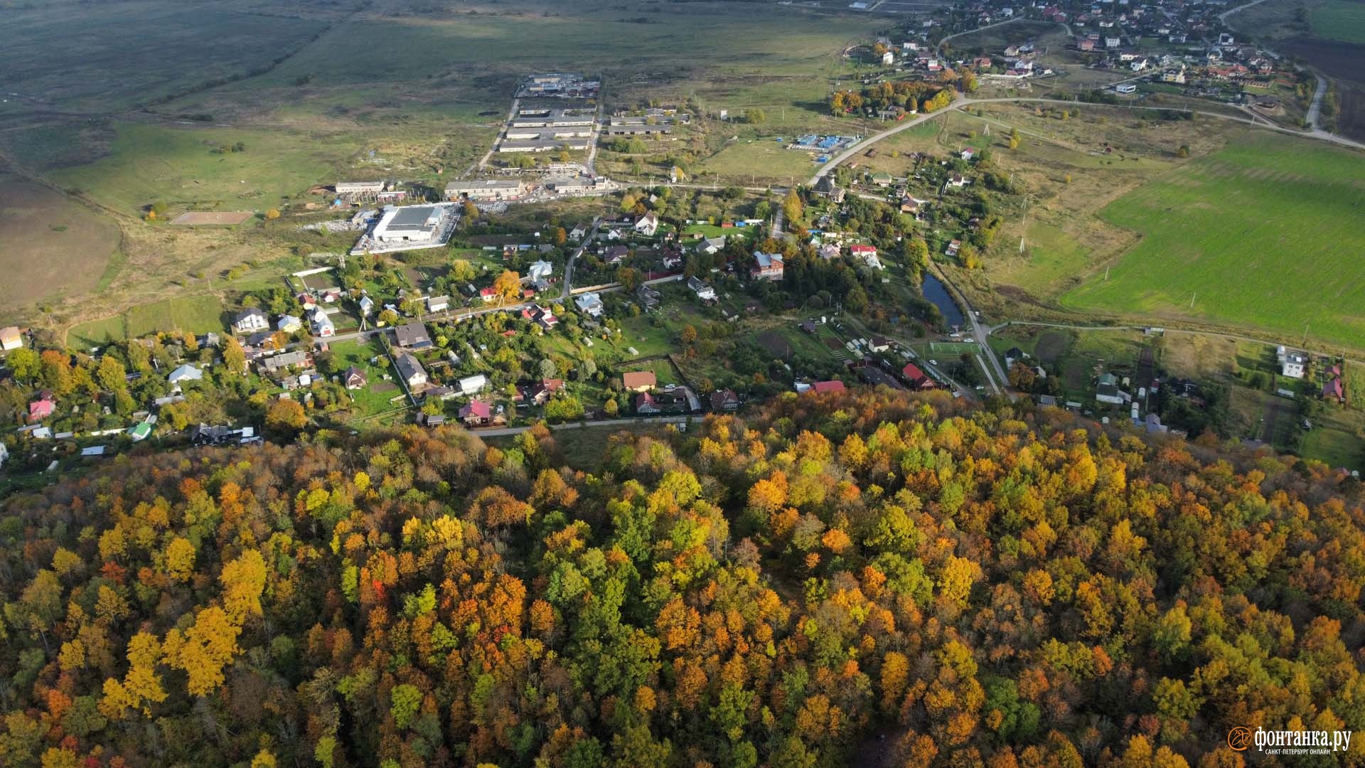 ореховая гора в красном селе