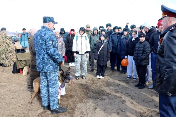 Кинологи УФСИН России по Мурманской области приняли участие в памятных мероприятиях в Долине Славы
