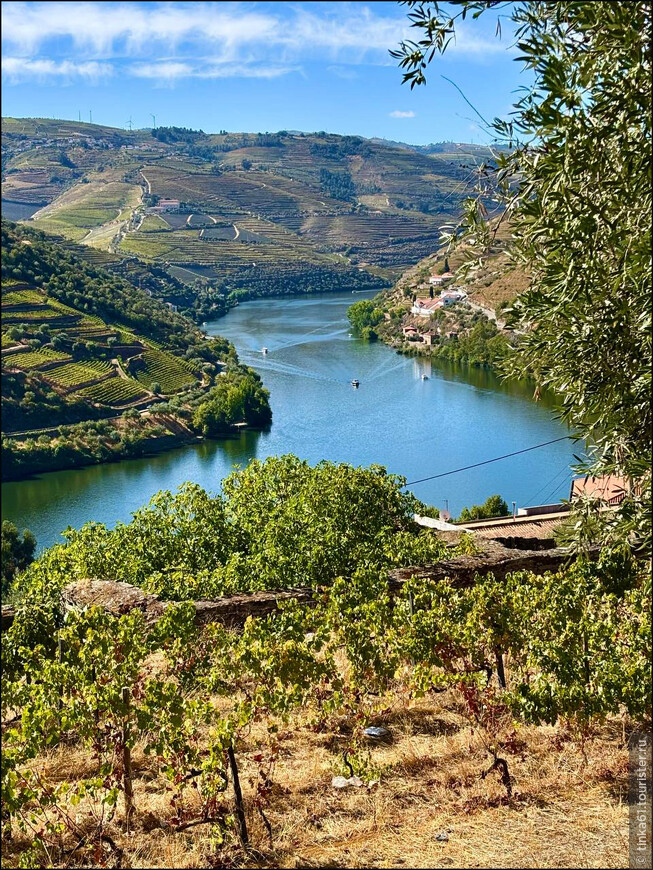 Европейский Девичник. Куда податься из Порту