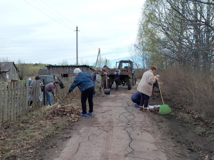 В Кинешемском районе помогли маме двух участников СВО навести порядок возле дома