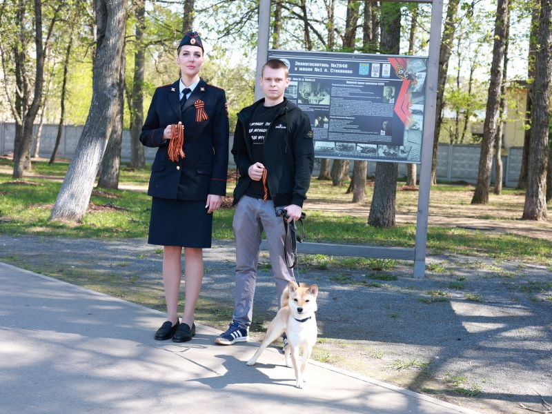 JPG Файл