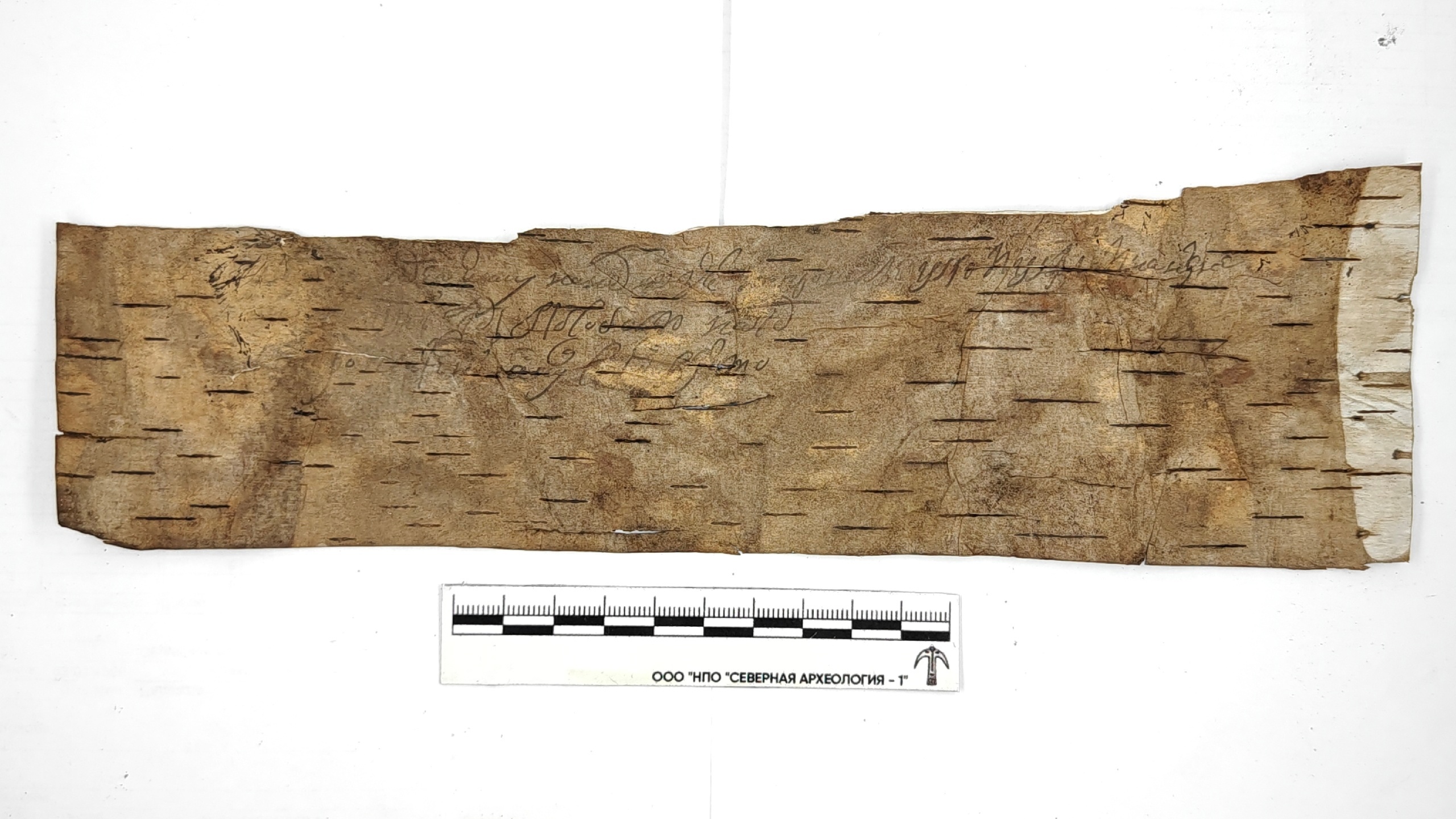 Археологические раскопки берестяных грамот. Первая новгородская берестяная грамота. Берестяные грамоты время раскопок. Берестяные грамоты новгорода 12-13 века. Раскопки берестяных грамот в новгороде.