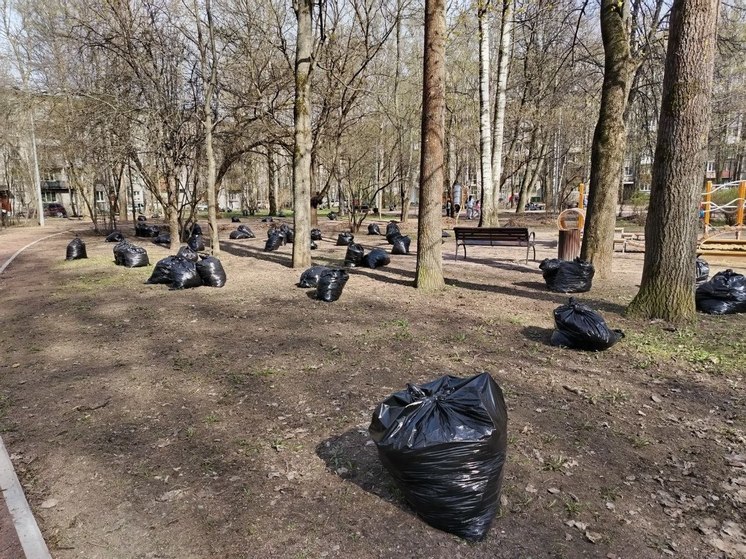 Петербургские парки открылись после весенней просушки