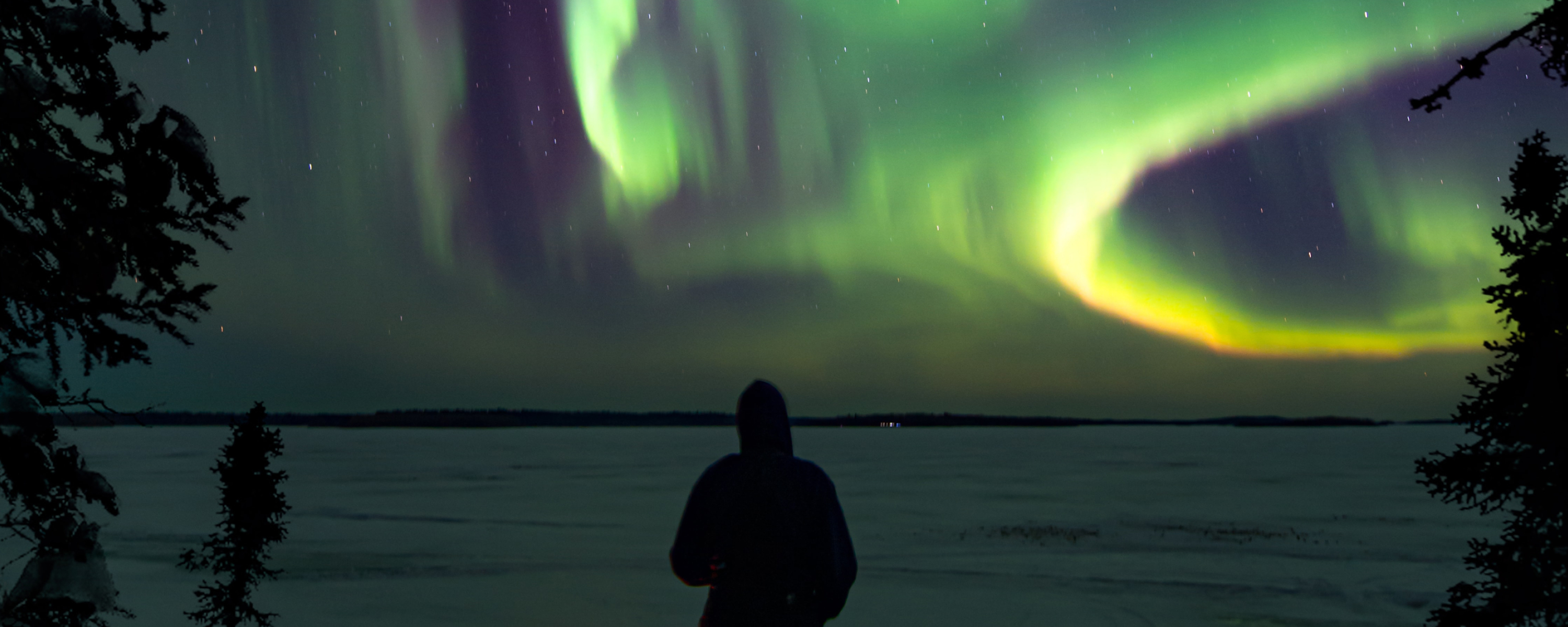 Полярное сияние ломоносов. Aurora borealis северное сияние. Северное полярное сияние карелия. Полярное сияние в териберке. Бореалис ступино.