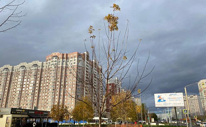 В Ростовской области ожидается резкое похолодание и дожди до конца недели