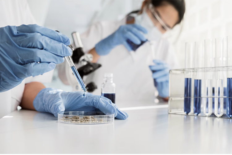 В лаборатории станет изучаться кровь или выщип волос животных. Так будет определяться генетическая ценность животного — ее накладывают на фенотипы и экономику предприятия