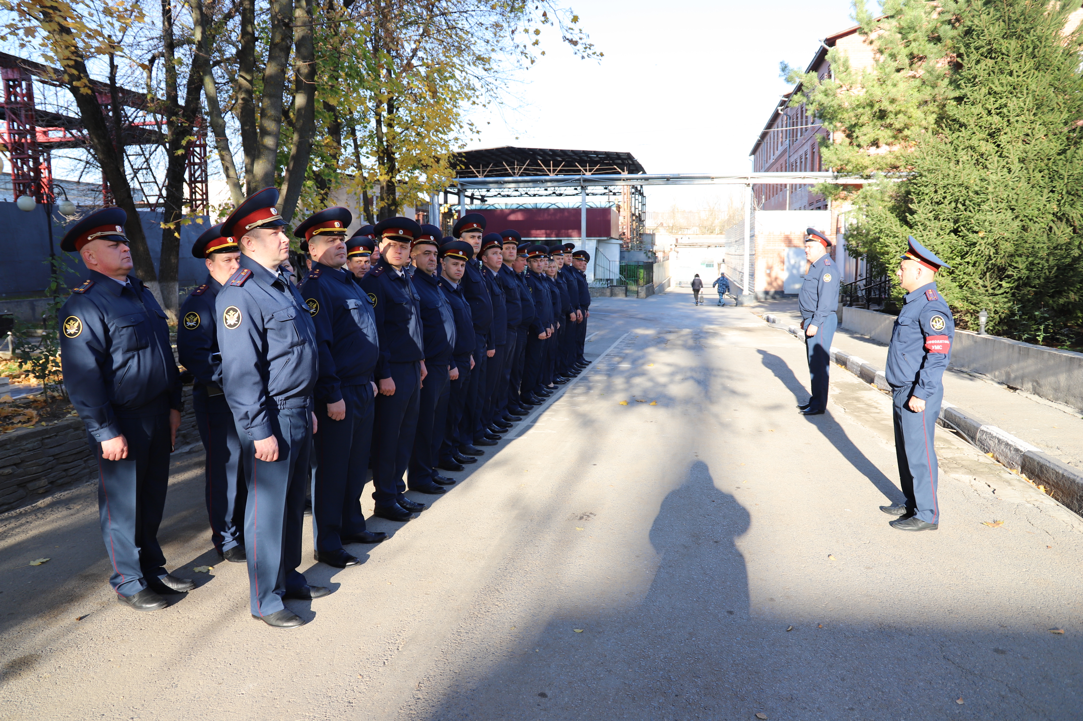 Богма гуфсин ростов