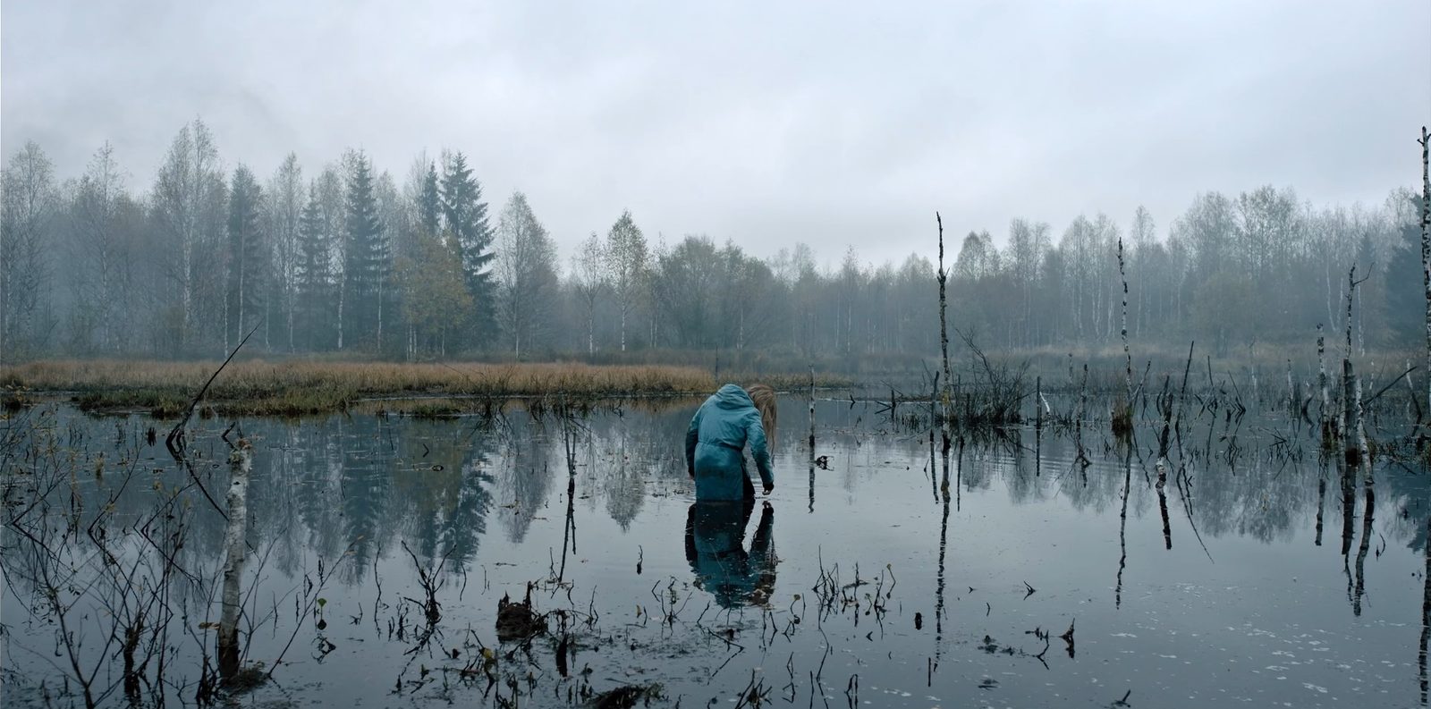 Территория (2020)