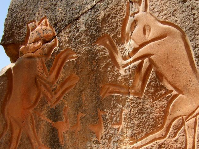 Как отдохнуть белгородцам 24–26 октября - Изображение 1