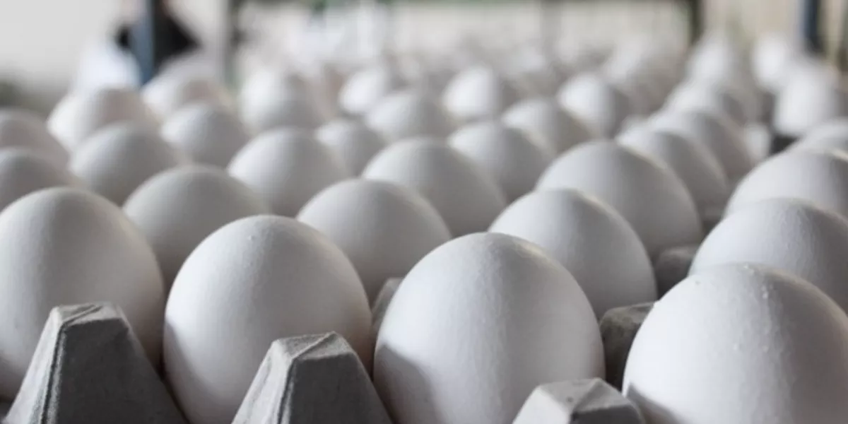 Валерий Лимаренко попросил региональный минсельхоз объясниться за яйца