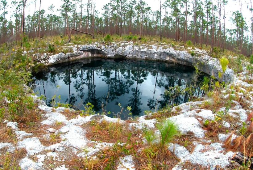 Голубая дыра Sawmill Sink