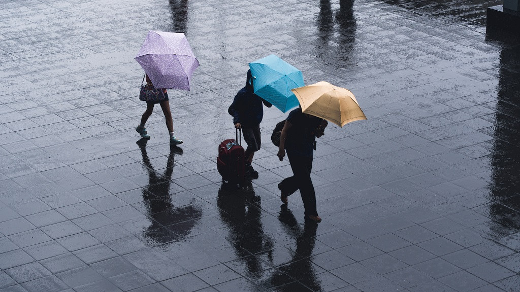 Фото: unsplash