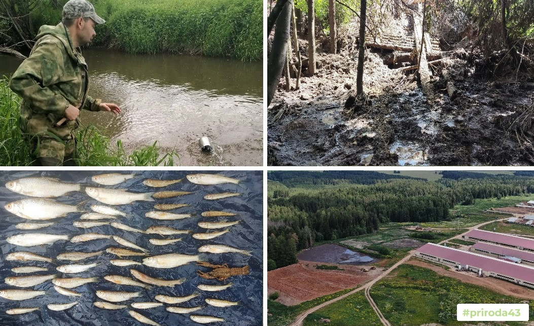 Суд не стал менять приговор за загрязнение реки в Унинском районе