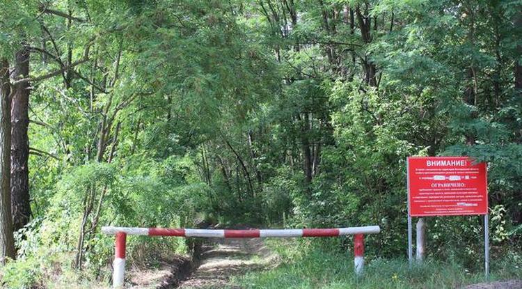 Невидимая угроза. В чём особенности отдыха на природе в зоне повышенного риска