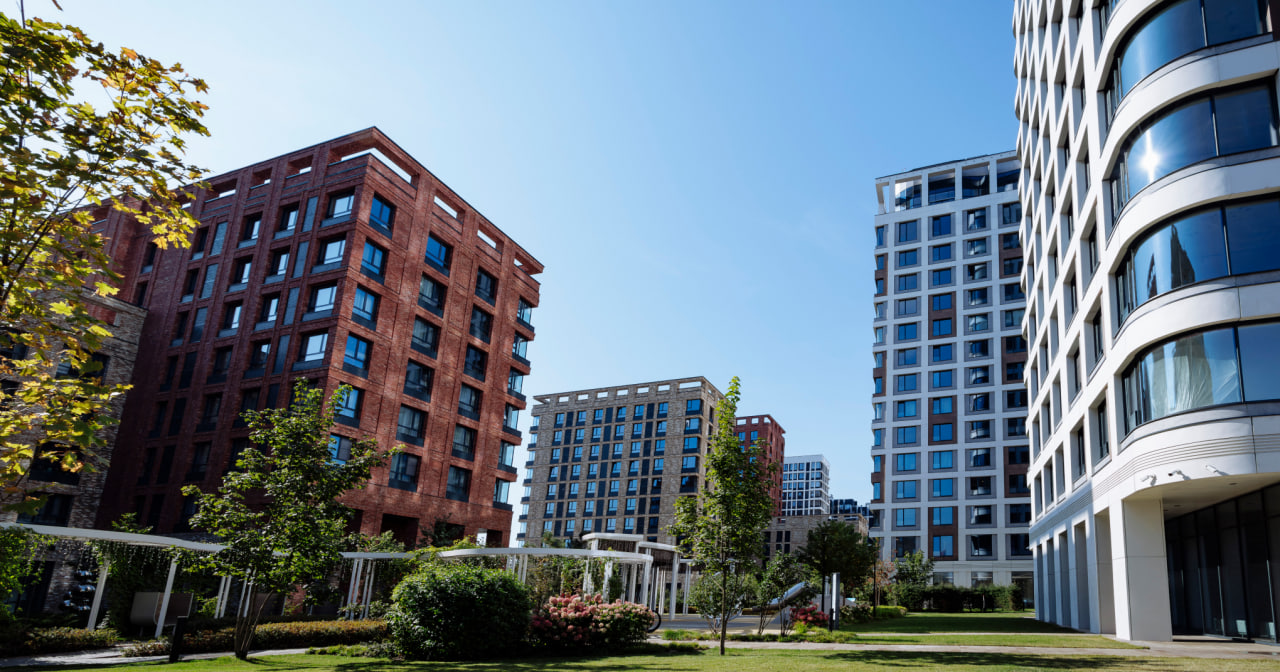 Девелоперская компания «Донстрой» провела wellness-пикник (фото 1)