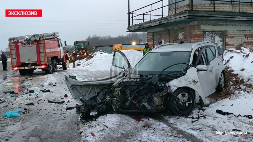 Водитель пострадала, собака погибла в результате ДТП в Пыталовском районе 