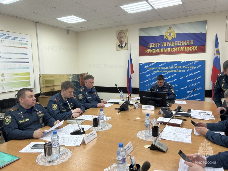 Региональные ведомства. Взаимодействие ведомств МЧС полиции Лесников