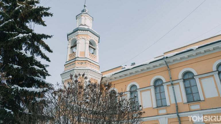 Воскресить или клонировать: в Томском краеведческом музее пройдет лекция о мамонтах