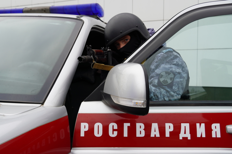 17 правонарушений пресекли сотрудники вневедомственной охраны Росгвардии за последнюю неделю в Костроме