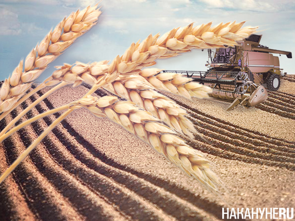 Фото: Накануне.RU