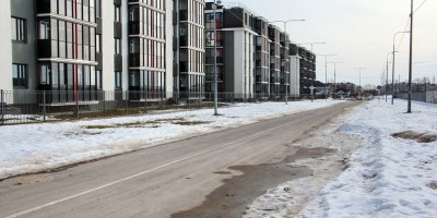 Пушкин, Камероновская улица