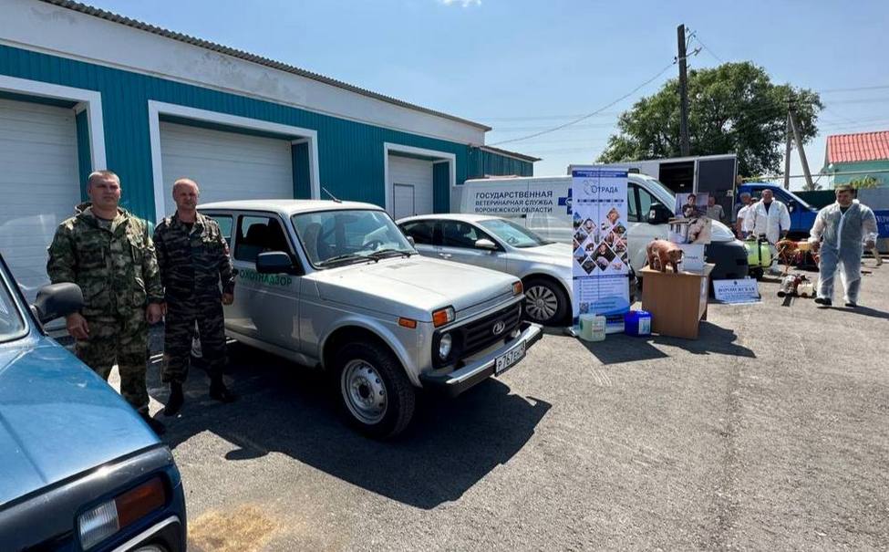 План по ликвидации по ачс
