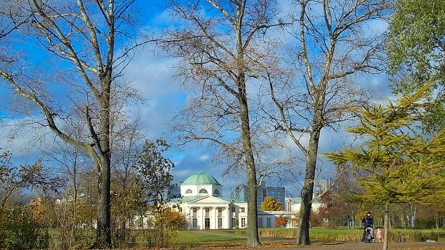 Александрино — парк (лесопарк), расположенный в Кировском районе Санкт-Петербурга