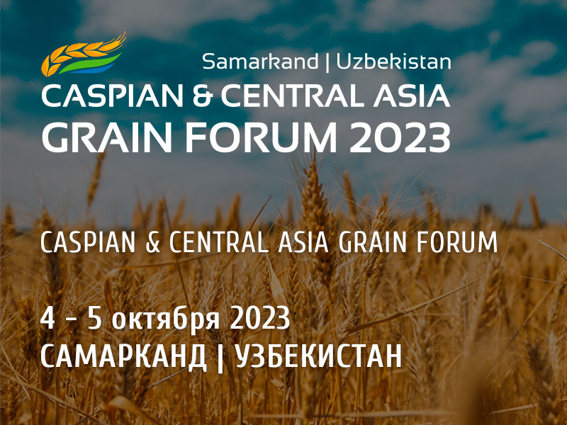 Grain forum