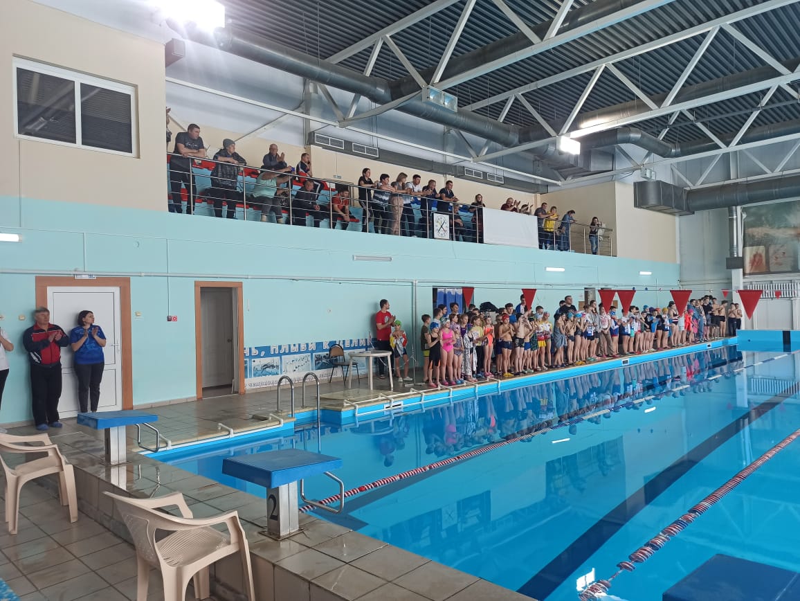 Бассейн никольск. Бассейн лазурный никольск. Плавание пензенская область. Бассейн никольск. Бассейн лазурный шелехов.