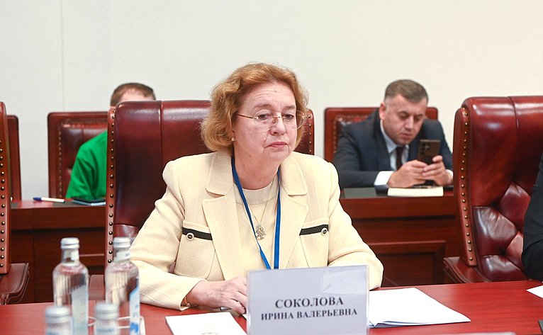 Заседание Постоянной комиссии МПА СНГ по политическим вопросам и международному сотрудничеству
