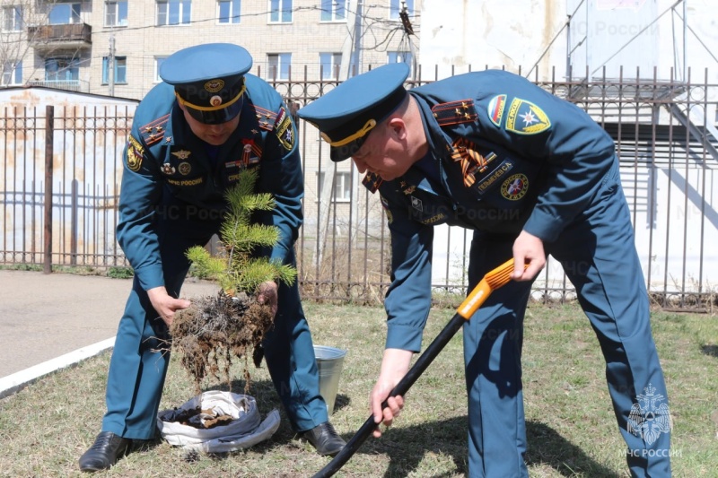 Забайкальские огнеборцы приняли участие в ежегодной Всероссийской акции «Сад памяти»