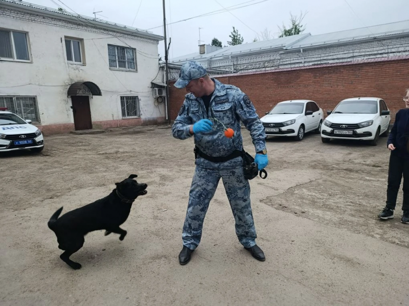 PNG Файл