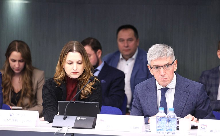 Заседание Комиссии Совета Федерации по развитию креативных (творческих) индустрий и народных художественных промыслов в РФ