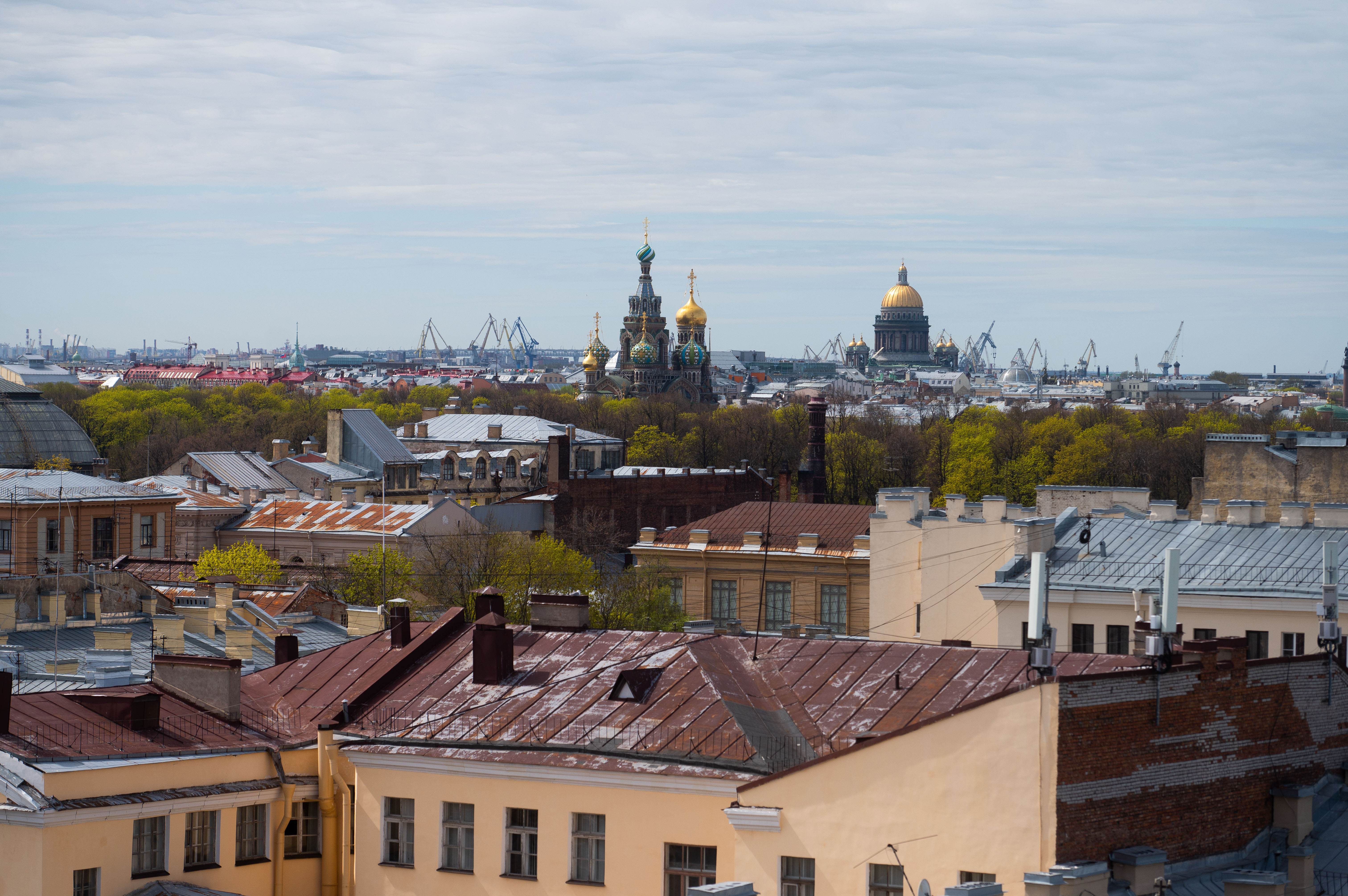 миллионы спб